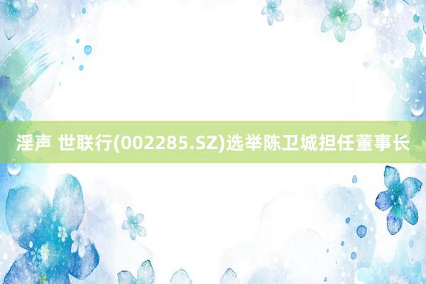 淫声 世联行(002285.SZ)选举陈卫城担任董事长